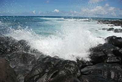 2007_05_30_HAWAII (60) (Large).JPG